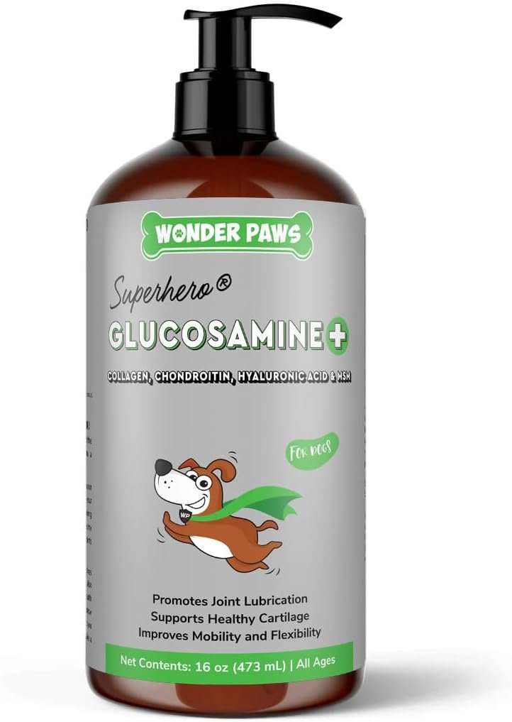 Premium Liquid Glucosamine for Dogs Strength Joint Support, Flexibility, Cartilage & Mobility – Hip and Joint Supplement with Chondroitin, MSM, Collagen & Hyaluronic Acid (16 Oz)