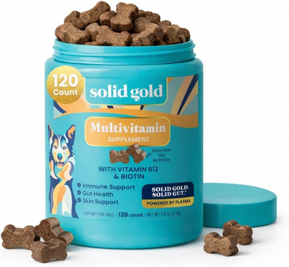 Solid Gold Dog Multivitamin – Soft Dog Vitamins & Supplements Chews – All-in-One Heart, Immune, Brain, Skin, Coat & Gut Health Support w/Vitamin C, B12, Probiotics & Antioxidants – Bacon Flavor 120ct