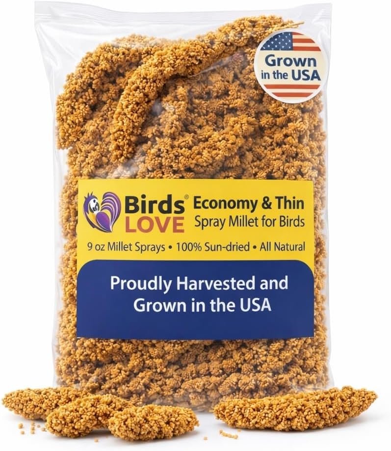 9 oz Spray Millet for Birds – GMO-Free, No Stems (Only Edible Tops) – 100% Natural Sun-Dried Foraging Treat for Cockatiels, Lovebirds, Parakeets, Finches & Canaries