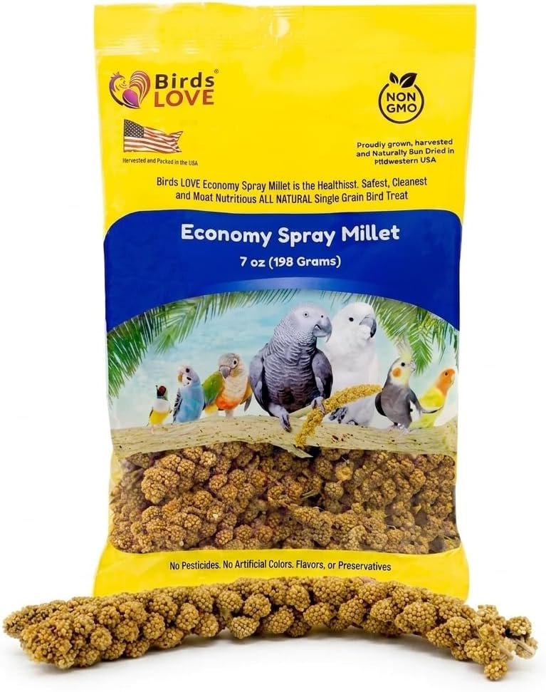 Birds LOVE Economy Spray Millet for Birds, 7 oz, GMO-Free Natural Millet Spray Treat, Stem-Reduced Edible Tops, Grown in USA, for Parakeets, Cockatiels, Lovebirds, Finches, Canaries & Small Parrots