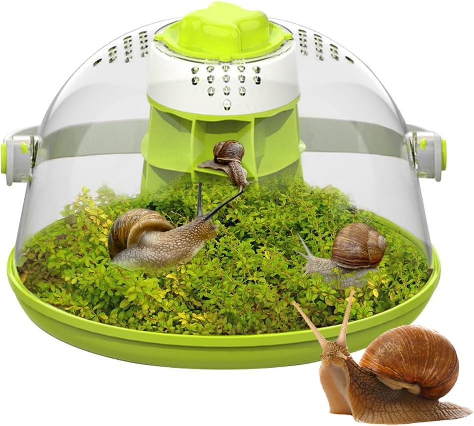 Snail Habitat Terrarium, Round Snail Enclosure with Feeding Design | Large Viewing Area, 360° Observation, Removable Base, Snail Habitat, Spider Enclosure & Small Reptile Habitat