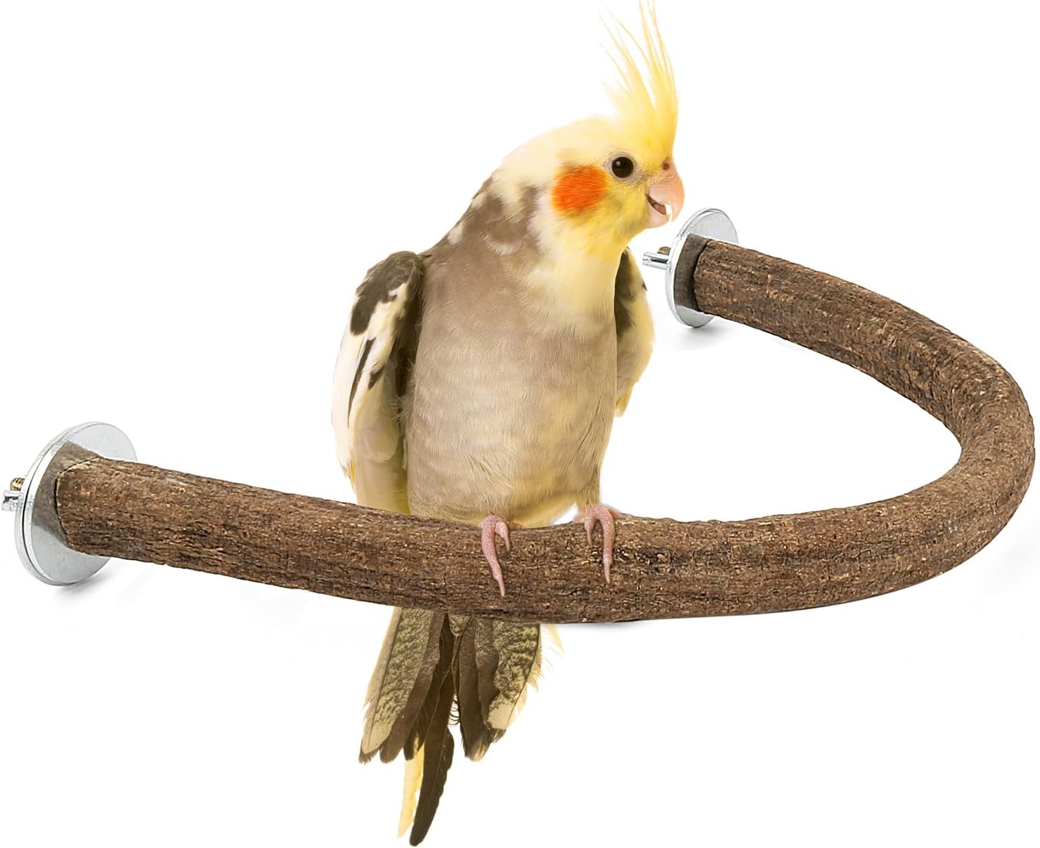 Rypet Natural Wood Bird Perch, U-Shaped Bird Perch for Cage (L) | Safe Chew & Rest Perch, Durable Non-Toxic Cage Accessory, for Parakeets, Cockatiels, Lovebirds, Budgies & Small Conures