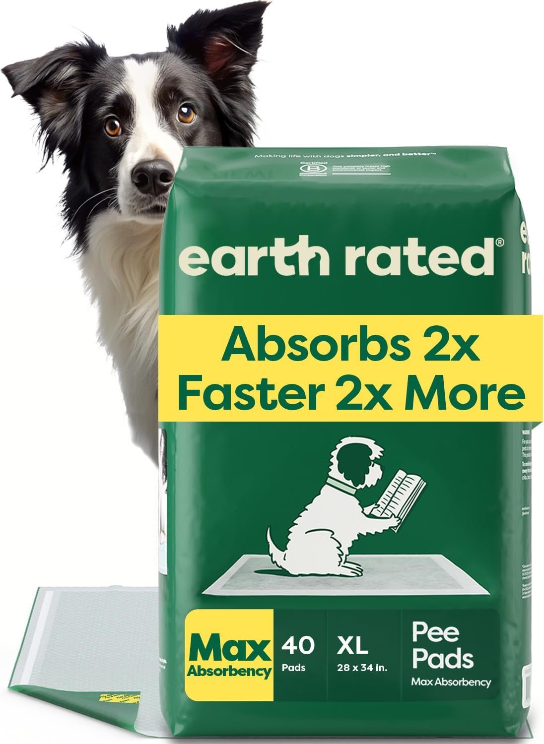 Earth Rated 40 Puppy Pads, Max Absorbency Pee Pads for Dogs, XL | Max Absorbency,Absorbs 2X Faster & 2X More, Leak Prevention, Potty Training, Fragrance-Free, Unscented