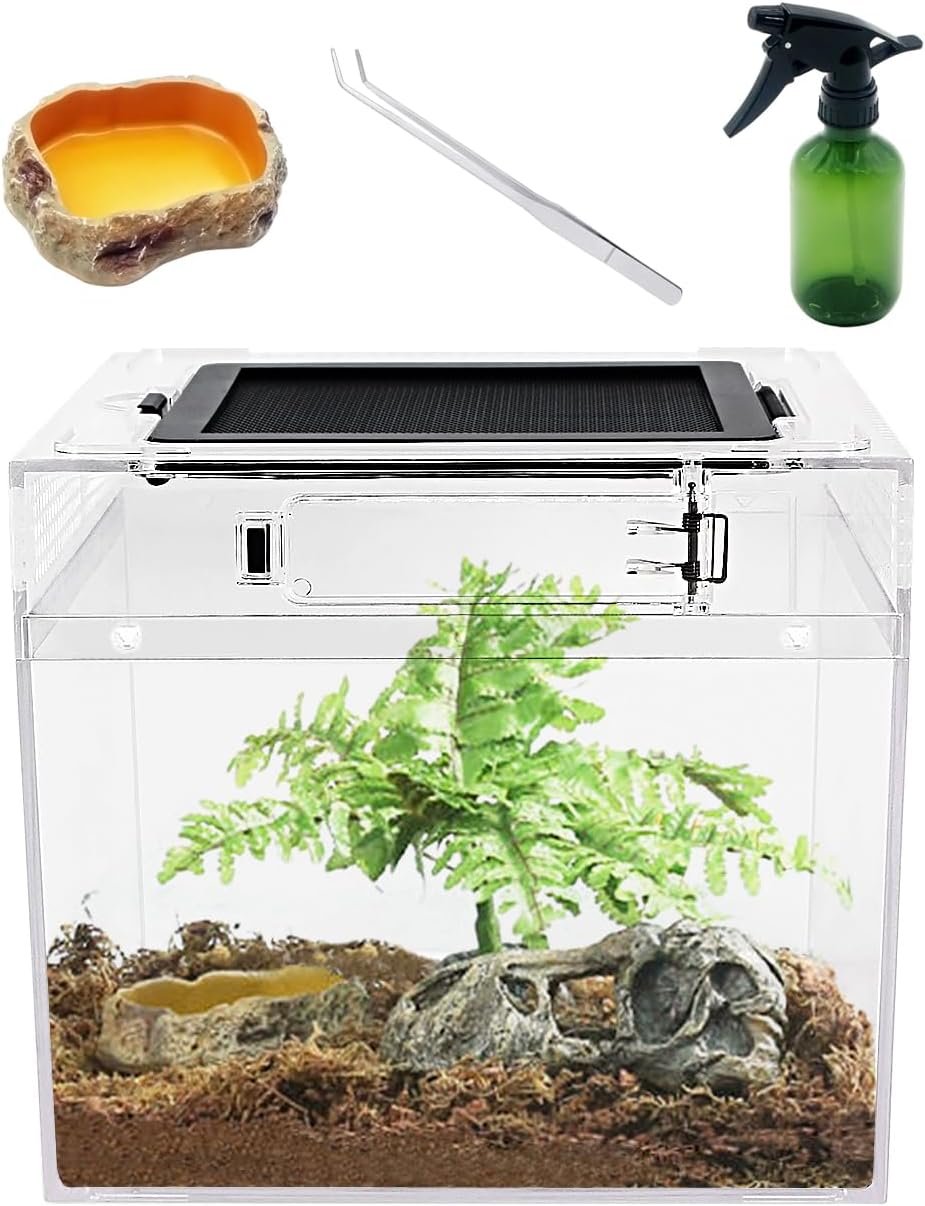Reptile Growth Mini Reptile PC Terrarium,8x8x7 inch Amphibian Tank Starter Kit Habitat Cage，for Insect，Fish，Tarantula，Turtles，Jumping Spiders and Small Reptiles