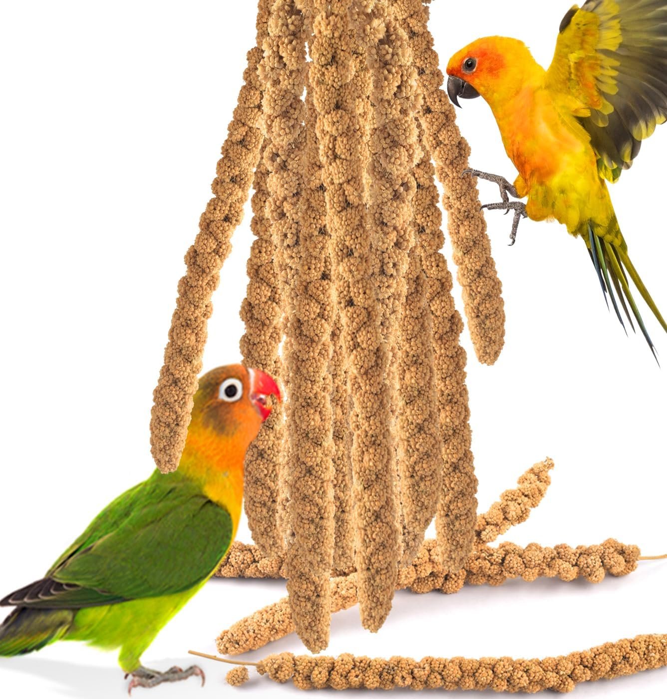 KATUMO Spray Millet Treats, 7Oz / 200g Natural Sun-Dried Bird Treats for Parakeet Conure Cockatiel Finch Pigeon Hamster Canary