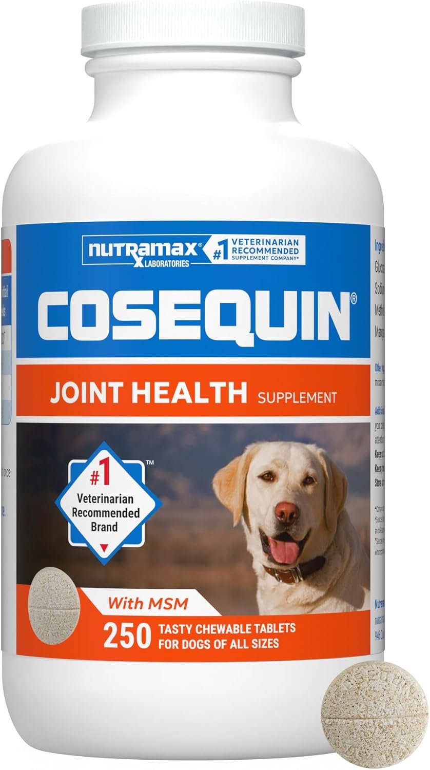Nutramax Cosequin Joint Supplement for Dogs, MSM+HA, Chew Tablets, 250ct | Joint Health, Glucosamine + Chondroitin for Dogs, MSM, Supports Joints, All Breeds & Sizes, All Ages, Chewable Tablets