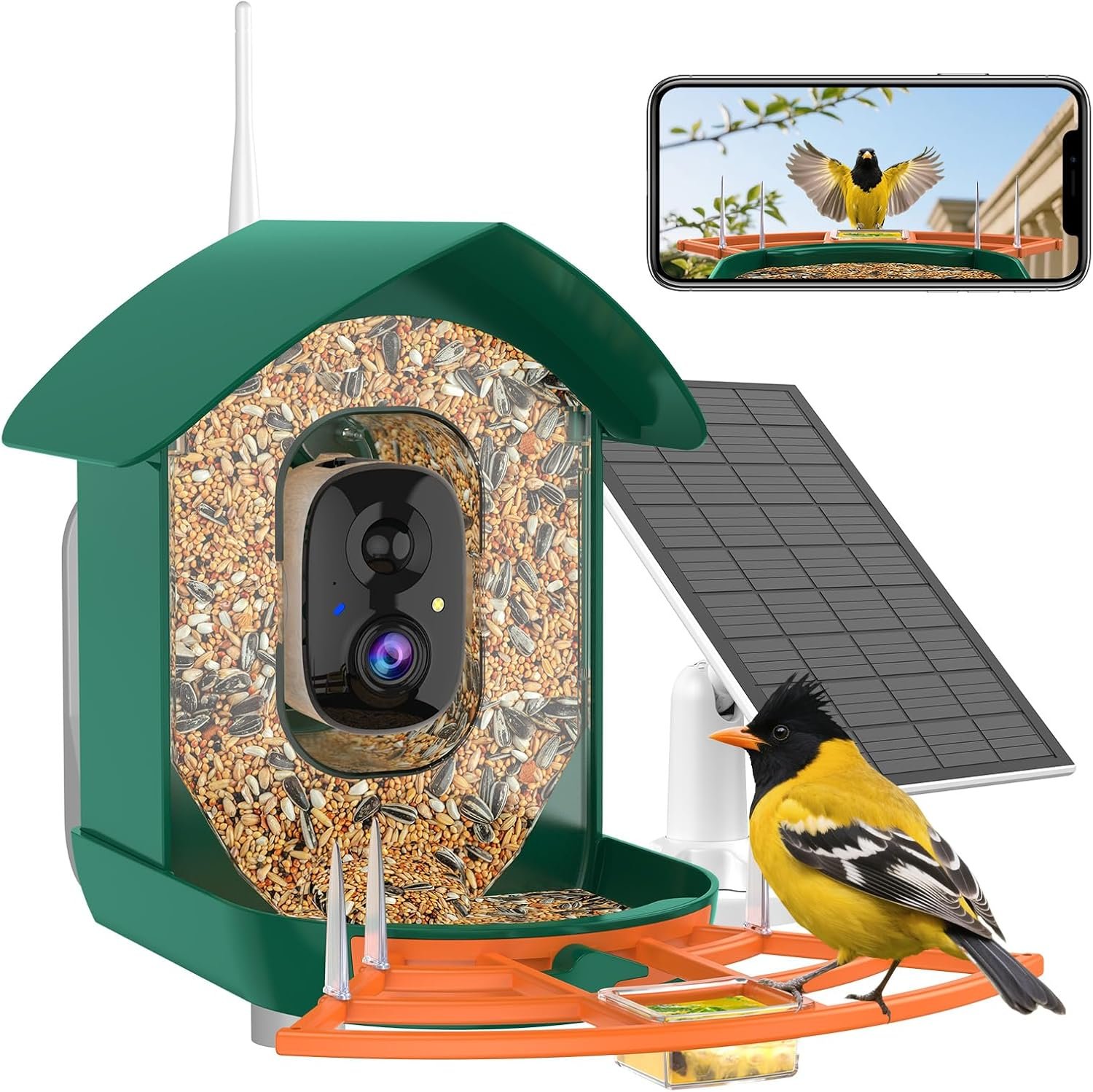 Bird Feeder with Camera,WiFi Smart Bird House with Cam Solar Powered | AI Identify,App Notification,Night Vision,2K Live View,Auto Record Video,Outdoor Birdwatching Gifts for Family,Birds Lover