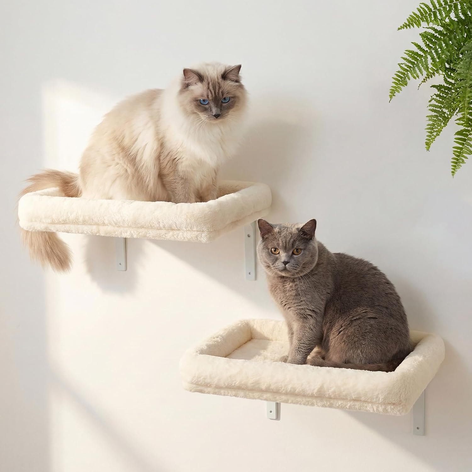 Veehoo Cat Wall Shelves for Large Cats, 2-Pack Cat Shelf for Climbing | 20.5″×15.7″ Large Cat Wall Furniture with Soft Cushion Perch Bed, 40 lbs Support, Fits 16 Inch Drywall