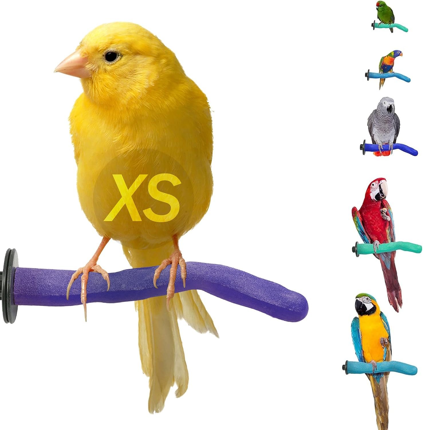 Sweet Feet and Beak Safety Pumice Bird Perch, X-Small Pedicure Perch, Purple