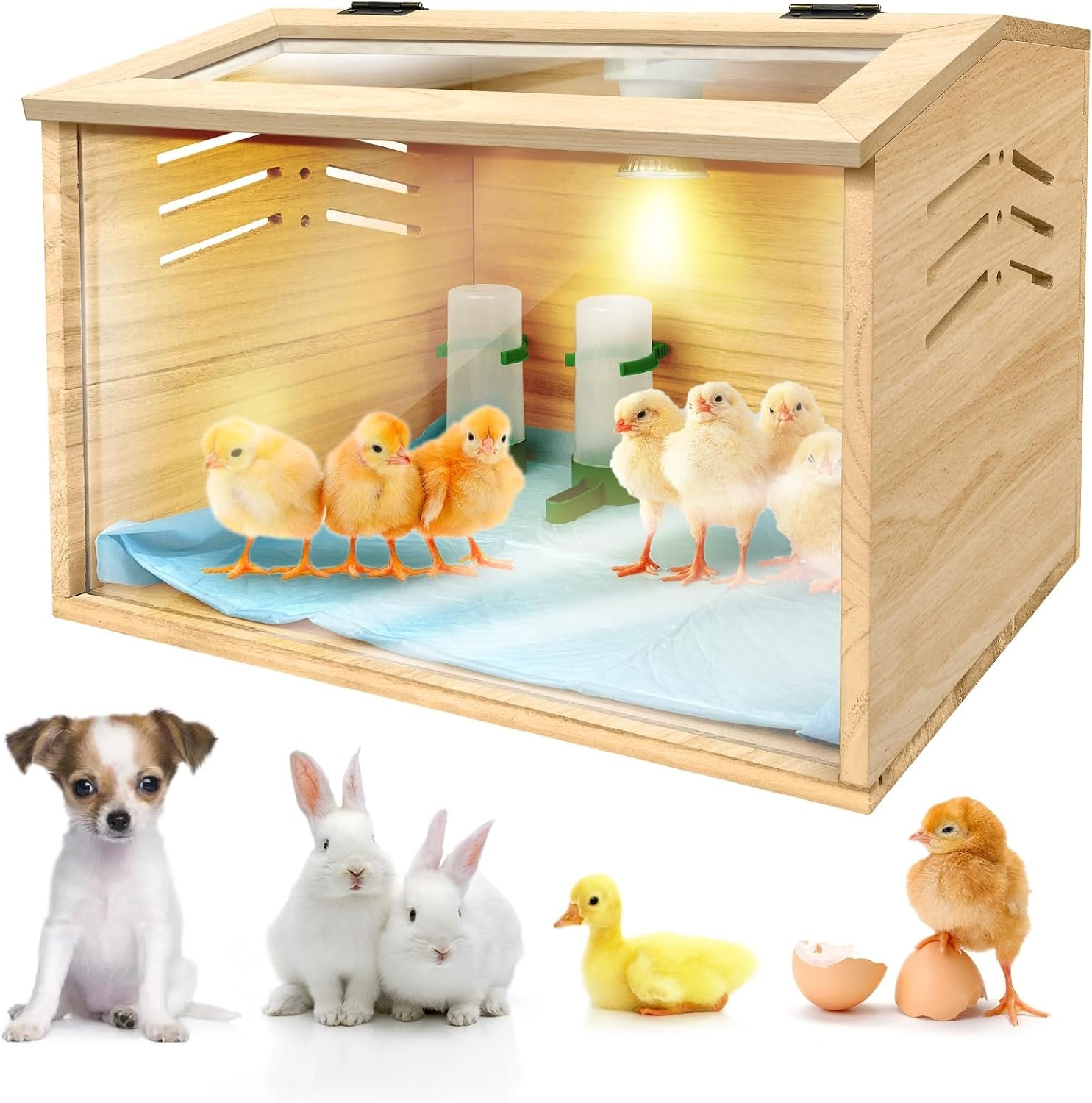 Chicken Brooder Box for Chicks & Quail with 3 Absorbent Pads, Feeder and Waterer – Adjustable Temperature Control Brooding Box for Small Chicken Coop & Quail Cage (15.7x12x12 Inches) ﻿