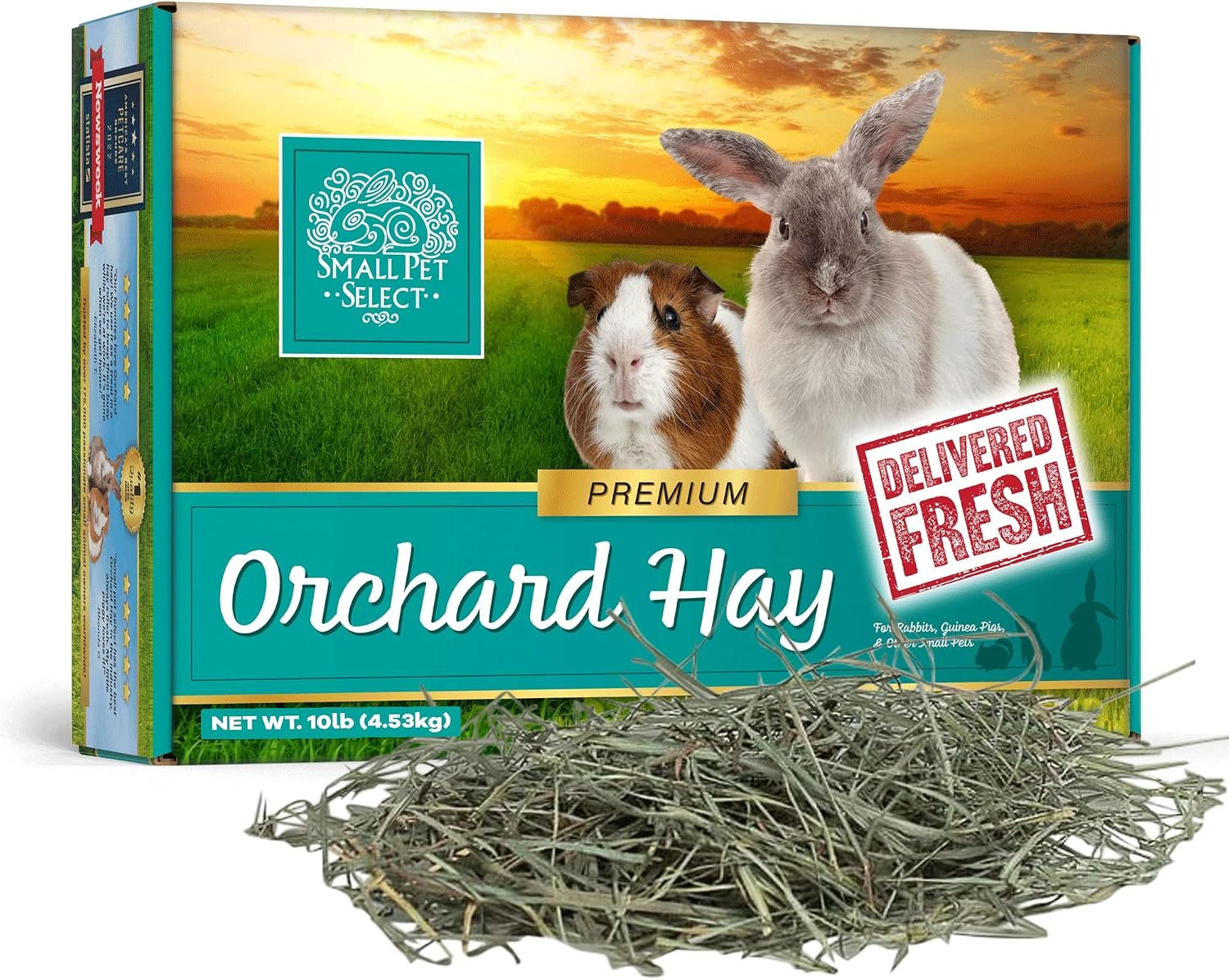 Small Pet Select Orchard Grass Hay Pet Food for Rabbits, Guinea Pigs, Chinchillas and Other Small Animals, Premium Natural Hay Grown in the US, 10 LB | Premium Natural Grass Hay, Grown in USA, Soft High Fiber Forage, For Chinchillas, Bunnies, Hamsters & Small Pets