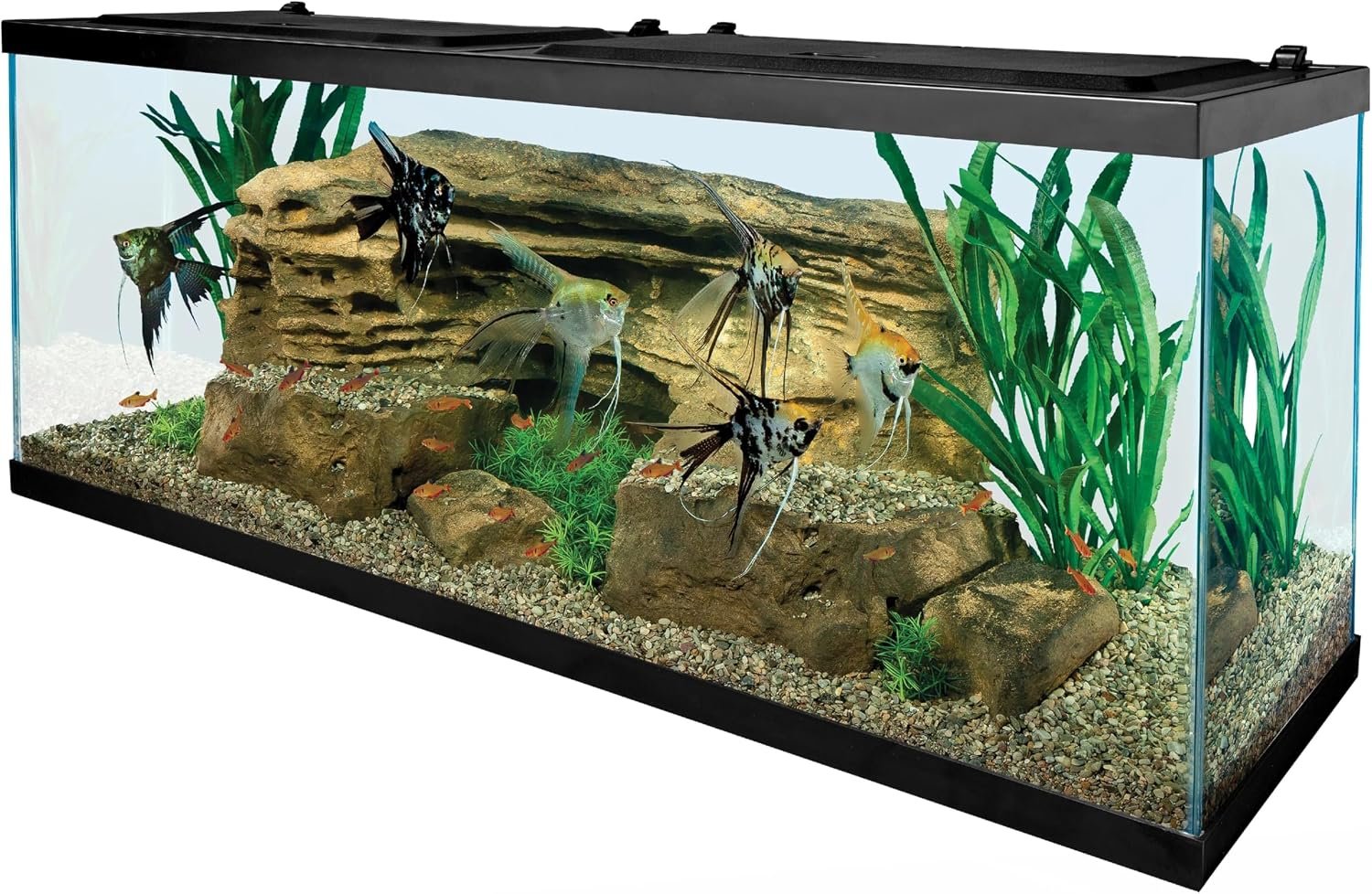 Tetra Complete LED Aquarium Kit for Fish, 55 Gallons, Includes White LED Lights, Filter, Heater and Accessories