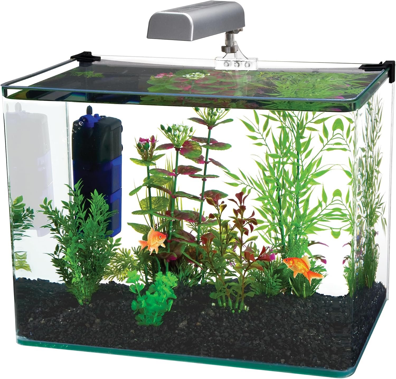 PENN-PLAX Water-World Radius Desktop Nano Aquarium Kit – Come with LED Light, Internal Filter, and Mat – Perfect for Shrimp and Small Fish – 5 Gallon Tank