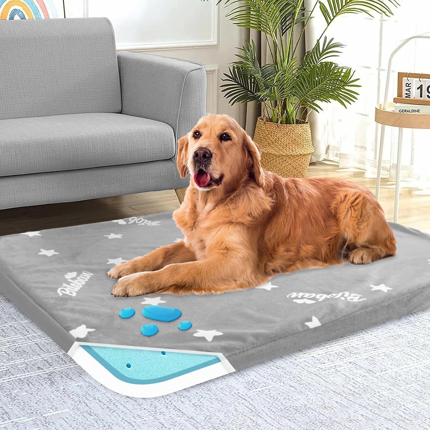 Waterproof Dog Bed for Large/Medium Dog, Memory Foam Dog Beds & Furniture | 38” x 26″ x 1.5″ for Large Sized Dogs With Anti-slip & Washable Removable Cover, Soft Flannel Top Pet Beds, Grey