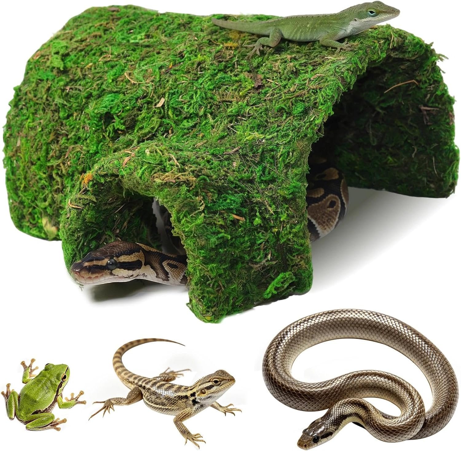 Reptile Tunnel Cave Hide, Handmade Shelter for Gecko Snake