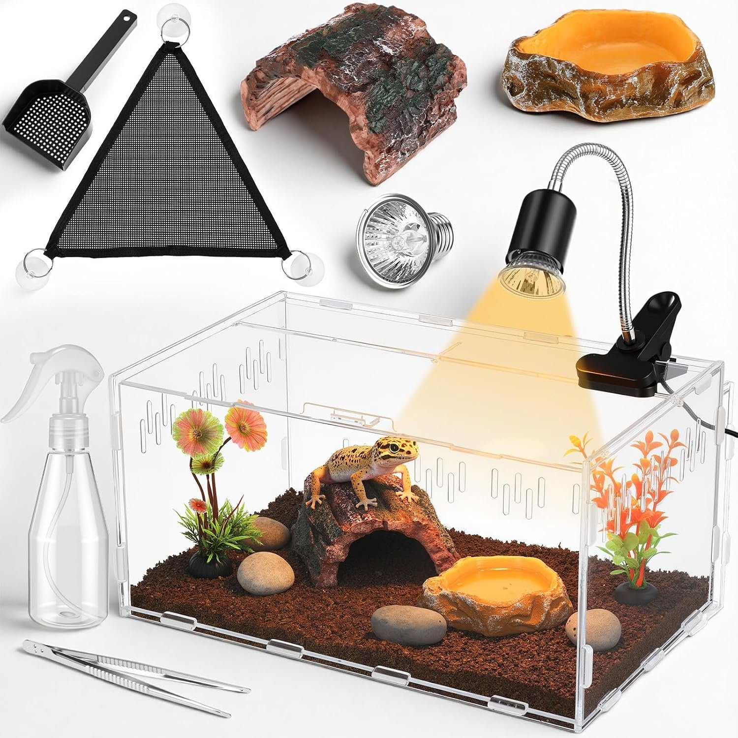 Kathfly 13 Pcs Mini Reptile Terrarium Starter Kits, 12x8x6” Insect Amphibians Reptile Tank Insect Habitat Cage Acrylic Tank Hidden Shell Heat Lamp Hammock and Other Accessories for Fish Turtle Spider