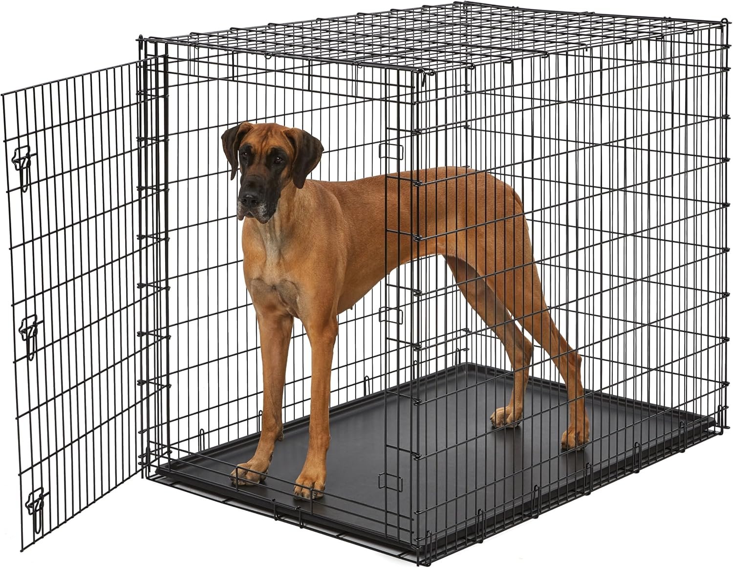 Solutions by MidWest Homes for Pets 54-Inch Drop Pin Crate for Giant Breeds Over 100 lbs, Single Door Dog Crate with Leak-Proof Tray & Secure Latches, Durable Drop Pin Construction