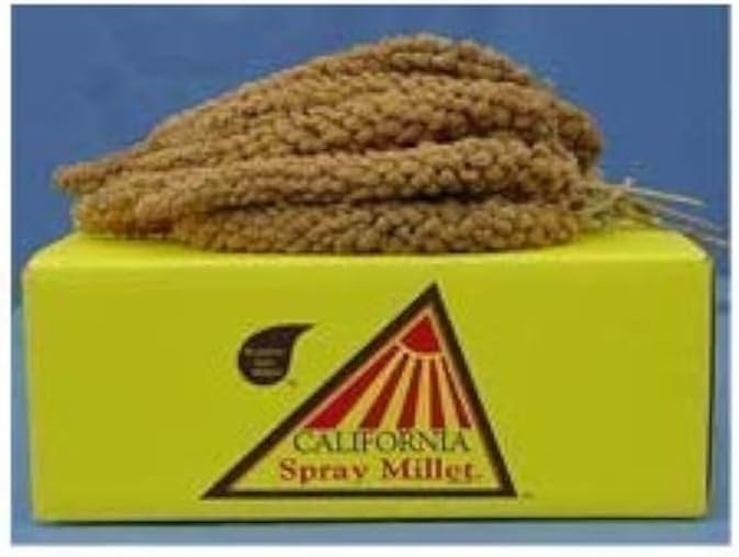 California Golden Spray Millet – Premium 25 Lbs
