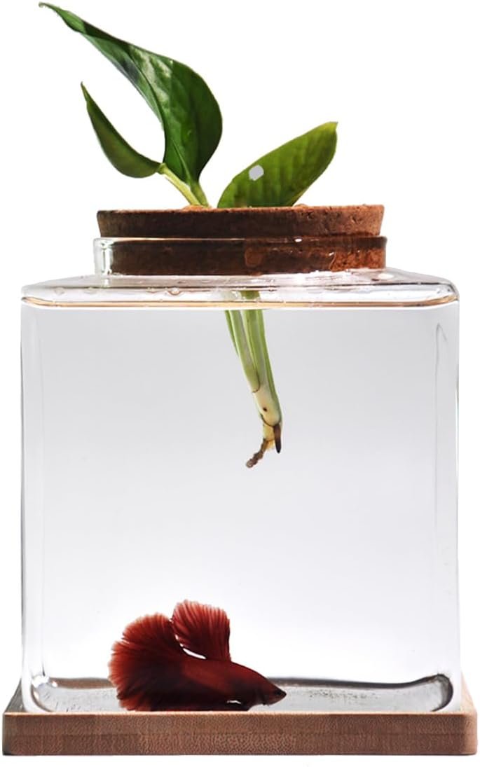 Desktop Betta Fish Bowl Glass with Wood Lid and Bamboo Stand Small Fish Bowl Hydroponic Plant Terrarium Aquarium Starter Kit 0.5 Gallon