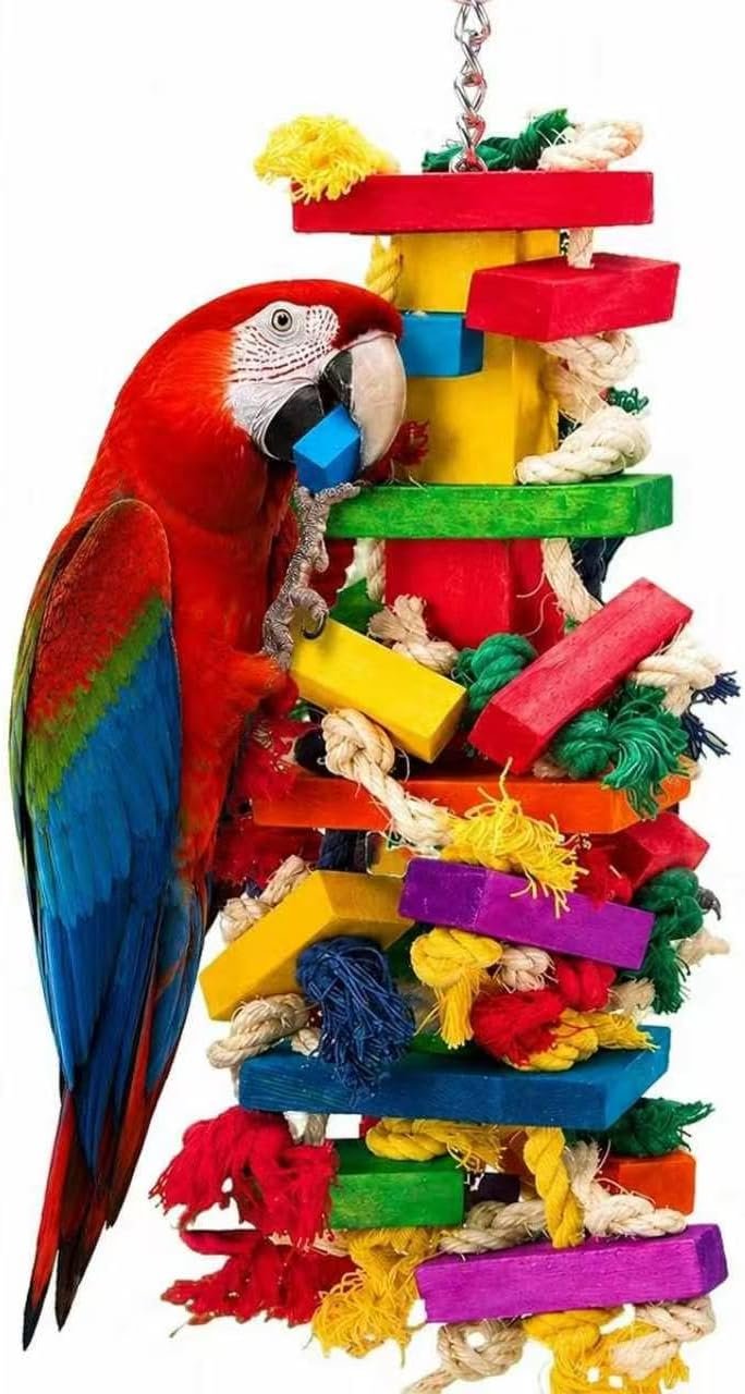 Parrot Toys for Large Birds, Natural Wood Chew Toy | Strong construction withstands daily chewing by macaws, African greys and similar large birds.