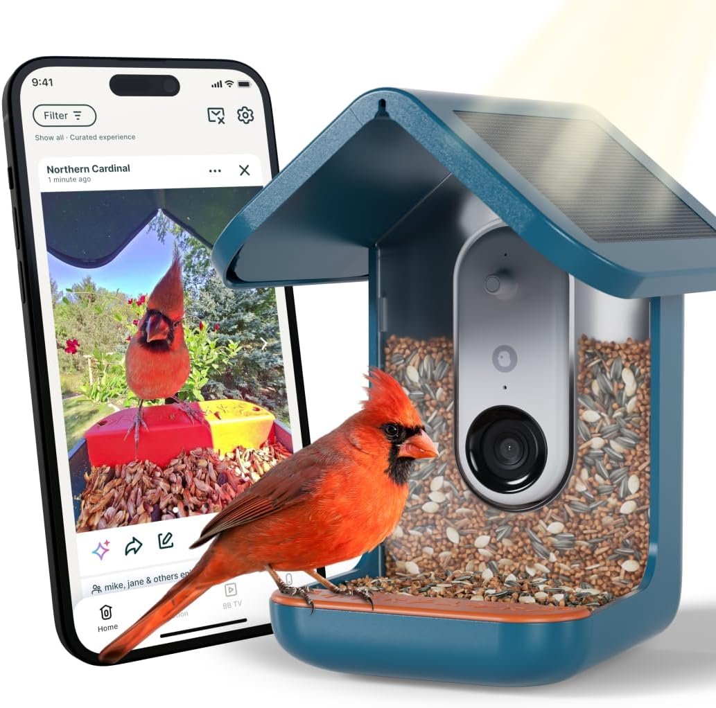 Birdbuddy Pro Solar Smart Bird Feeder with Camera, AI Bird ID, 2K Video | 2K video quality, 5MP Photos, 1/2.7” sensor with excellent low-light performance, High Dynamic Range (HDR)