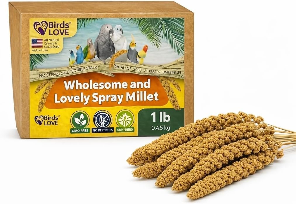 Birds LOVE 1 LB Wholesome Spray Millet for Birds – USA Grown, Natural Sun-Dried Millet Sprays – Thick Seed-Rich Clusters for Parakeets, Budgies, Cockatiels, Conures, Finches & Parrots