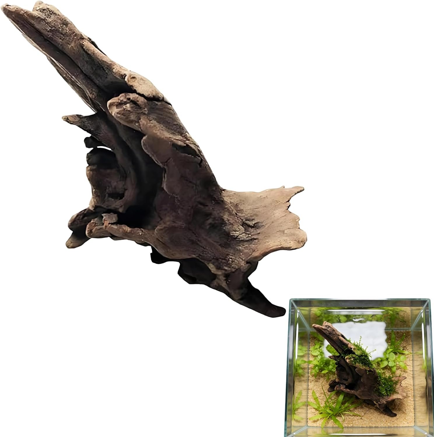 Natural Driftwood Tree Decoration for Aquarium, Fish Tank Plant Stump Ornament, Random Style(5-10cm)