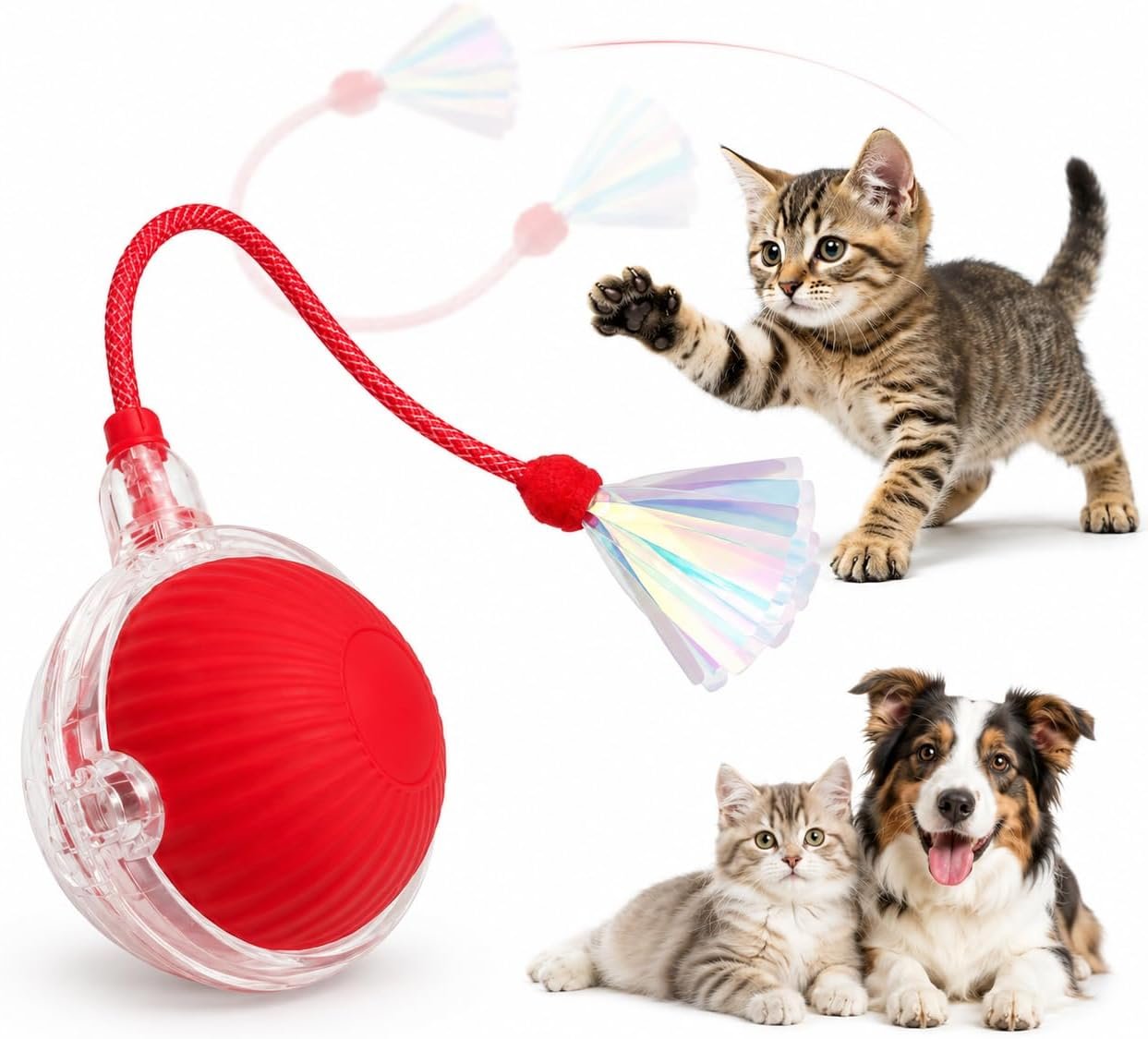 Interactive Cat Toy Ball with LED Lights, USB-C Rechargeable Automatic Cat Toy with Feather Tail, Smart Exercise Toy for Indoor Cats & Kittens, Upgraded Version