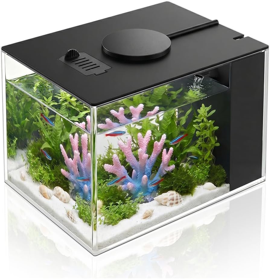 DaToo 1 Gallon Fish Tank Betta Fish Tank Small Nano Aquarium Starter Kit with LED Lighting and Water Filter Pump System