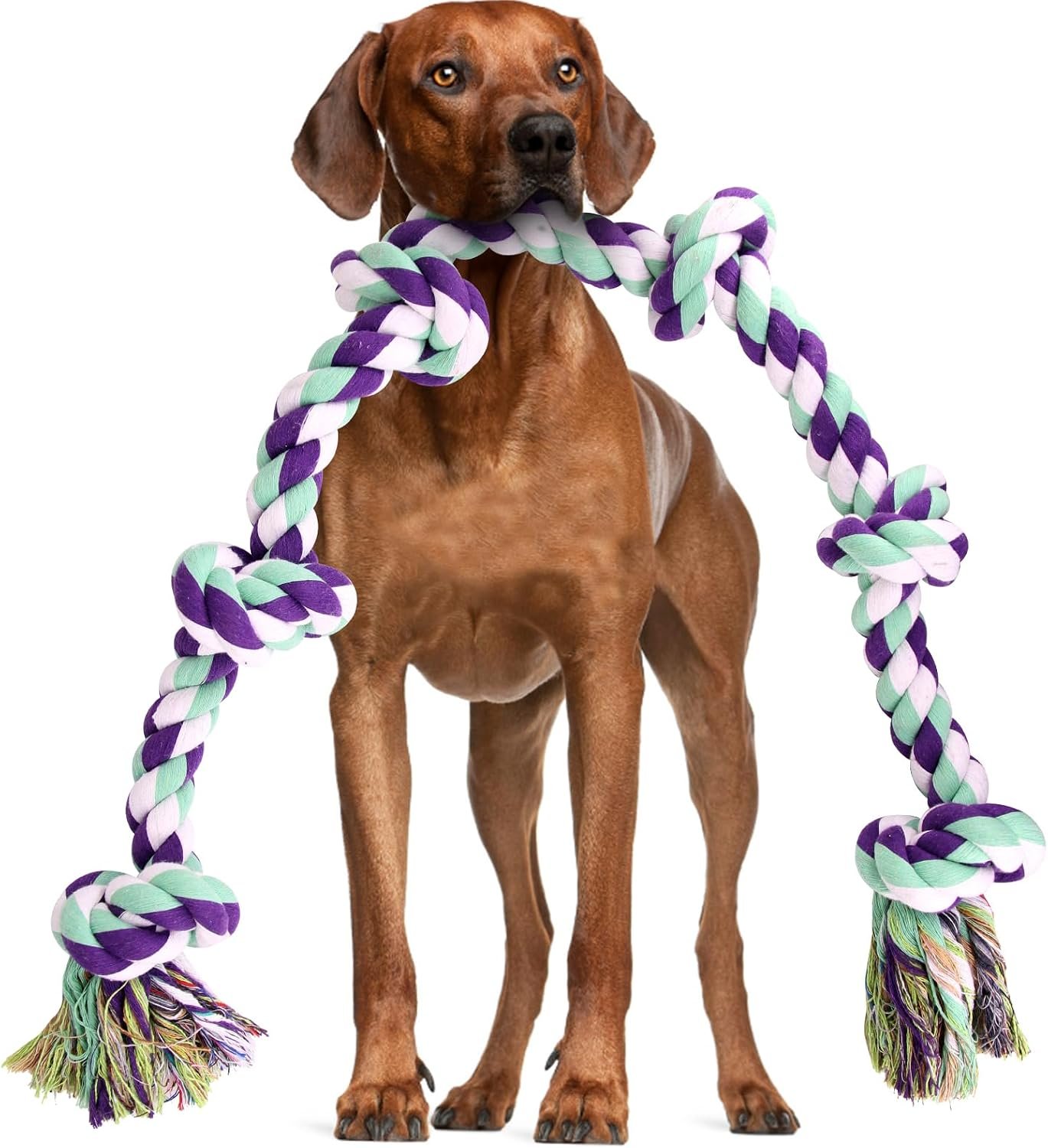 loncoldy Dog Rope Toy 42In 6 Knots Indestructible Natural Cotton – Tough Chew Toys for Medium/Large Breeds Aggressive Chewers, Daily Companionship, Heavy Duty Tug of War Dog Pull Rope Teeth Cleaning