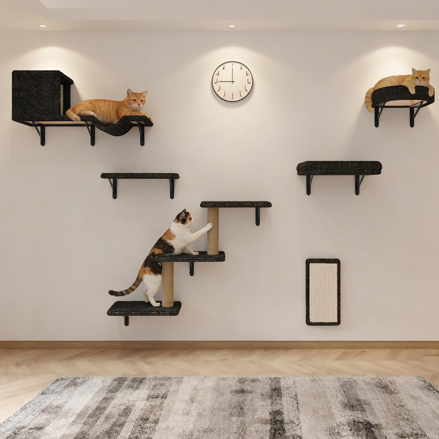 Cat Wall Shelves, 10 PCS Cat Wall Furniture System for Large Cats | Cat shelves for wall with perches, scratching posts, floating cat shelves, cat climbing wall for large indoor cats- Dark Gray