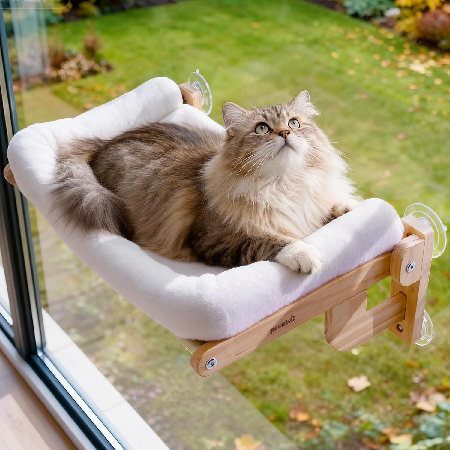 Pecute Foldable Cat Window Perch, Cloud-Soft Cat Bed with Wood Frame, 26″ L | Solid Wood, Strong Suction Cup, Washable Cushion, Sided Bolster, Large Cat Hammock Indoor for Sunbathing, Bird Watching