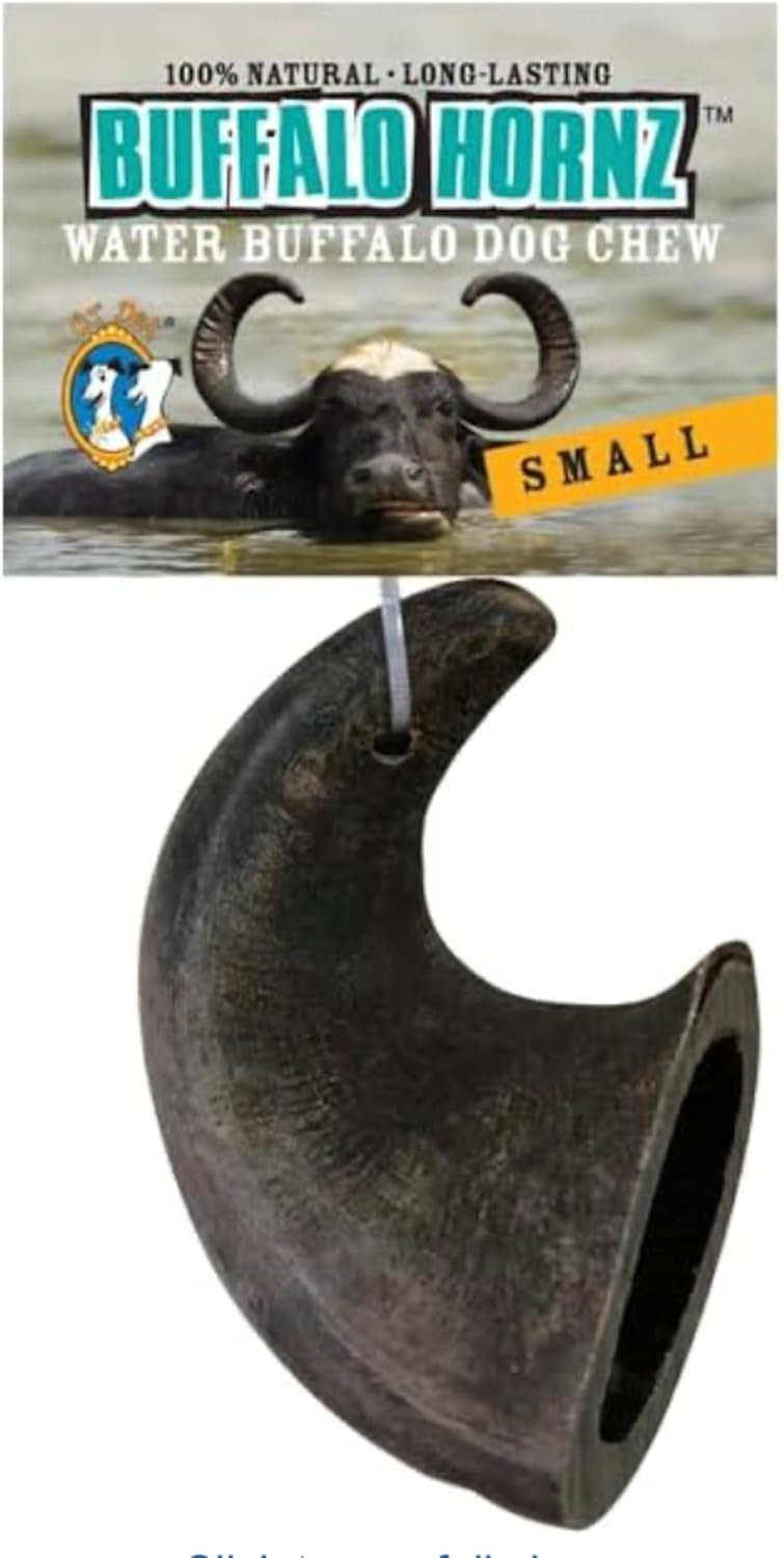 QT Dog Small Water Buffalo Horn – Long-Lasting 100% All-Natural Dog Chew, Ethically Sourced Protein-Packed & Low Fat Dental Chews