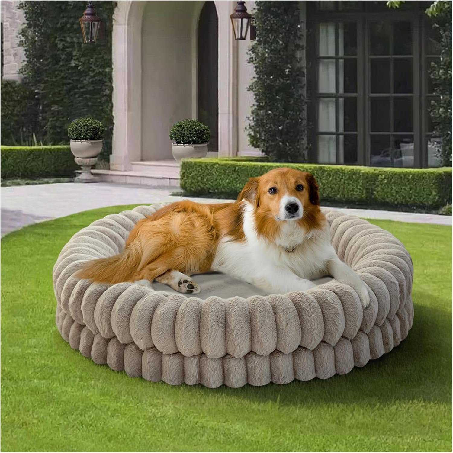 BALANCE Luxury Donut Dog Bed, 36 Inches Round Dog Beds Large Sized Dogs Washable, Orthopedic Calming Dogs Bed for Pets with Anti-Slip Bottom, Oatmeal
