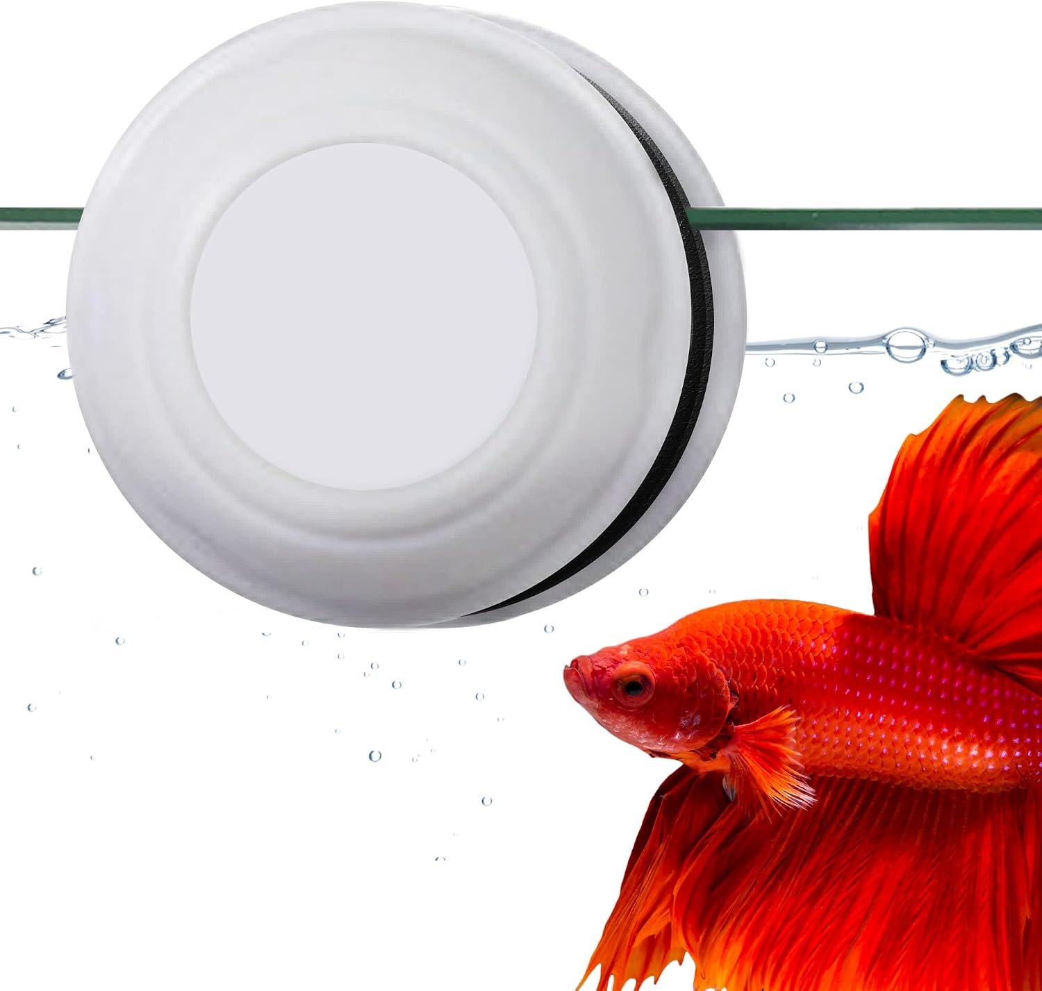 JOR Betta Tank Cleaner Magnet, Nano & Small Fish Tank Stain Scrubber, Magnetic Floating Glass Aquarium Cleaner, Fresh and Marine Water Cleaning Magnet, Aquarium Supplies, 1.5″, White Plastic