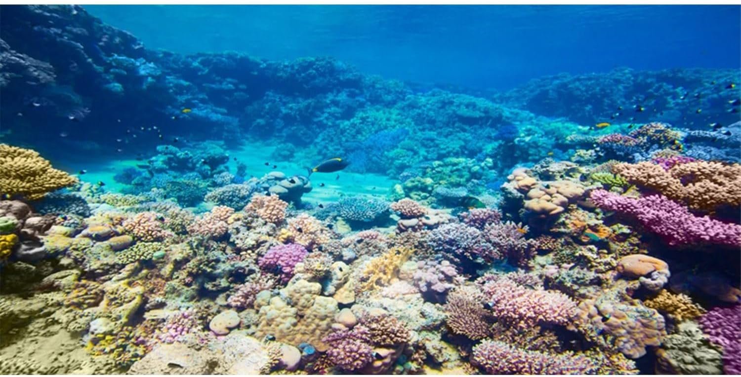AWERT Aquarium Background Coral Reef Tropical Fish Undersea Fish Tank Background 36×20 inches Durable Polyester Background