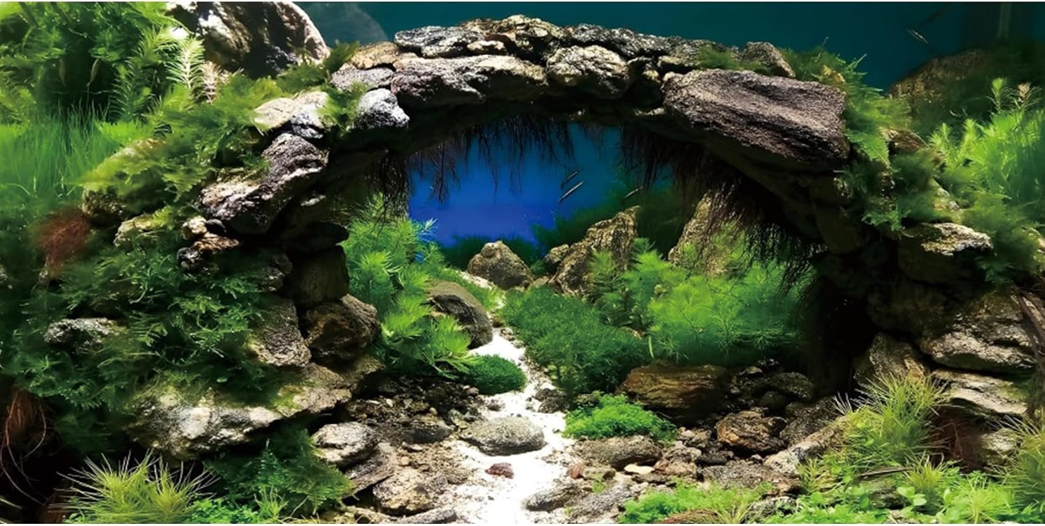 AWERT 48×24 inches Arch Stone Aquarium Background River Bed & Lake Aquarium Vinyl Background Aquatic Plant Fish Tank Background
