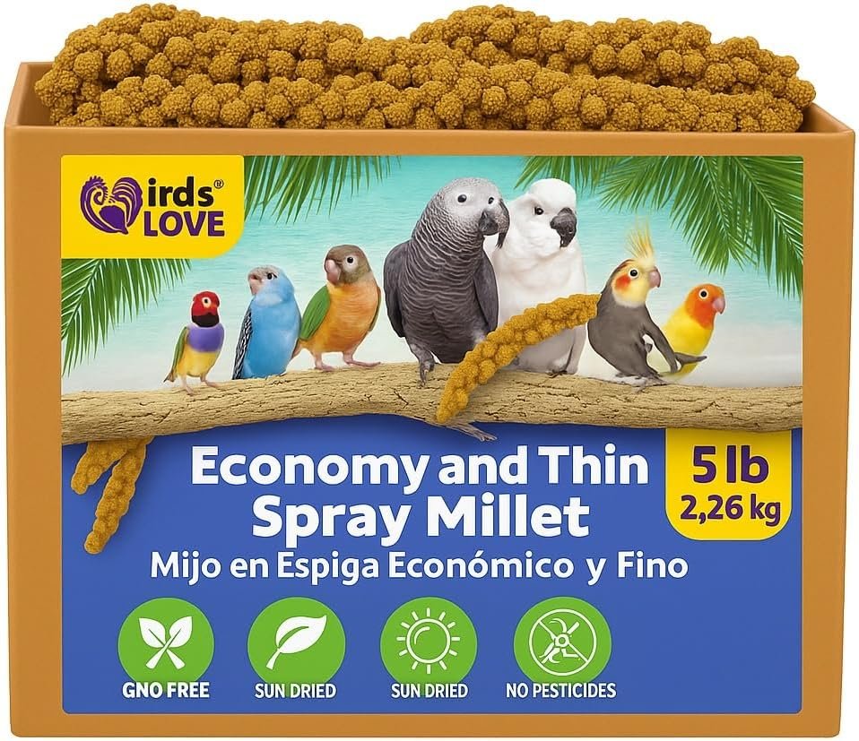 5lbs Economy & Special Spray Millet for Birds – GMO-Free, No Stems (Only Edible Tops) – 100% Natural Sun-Dried Foraging Treat for Cockatiels, Lovebirds, Parakeets, Finches & Canaries