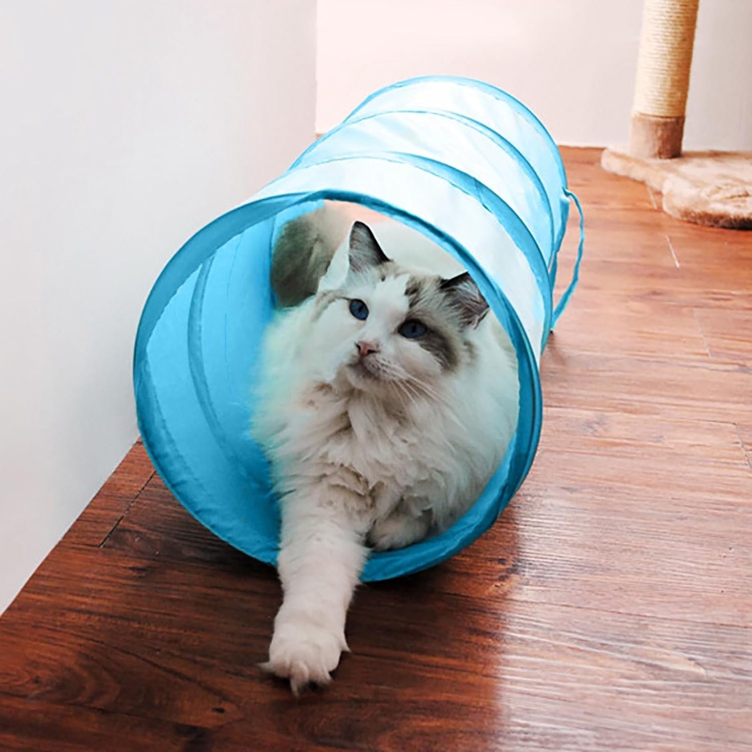 iCAGY Cat Tunnel for Indoor Small Cats Kittens Rabbits, Foldable Tube Toys | Interactive Pet Crinkle Pop Up Tunnel Play Toys, Relieve Cat Boredom, Sky Blue 20″