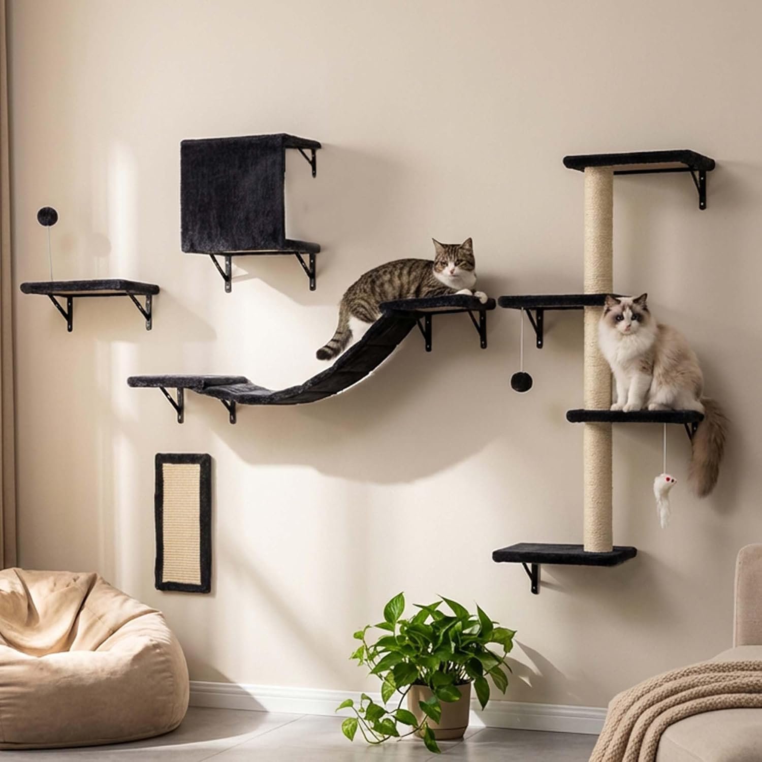 ANWA 5-in-1 Cat Wall Shelves Set, Cat Wall Climber Furniture, Dark Gray | Wall Mounted Cat Climbing Shelves Systems, 4 Level Natural Sisal Post Cat Shelf, Space-Saving, Furry Fabic cover