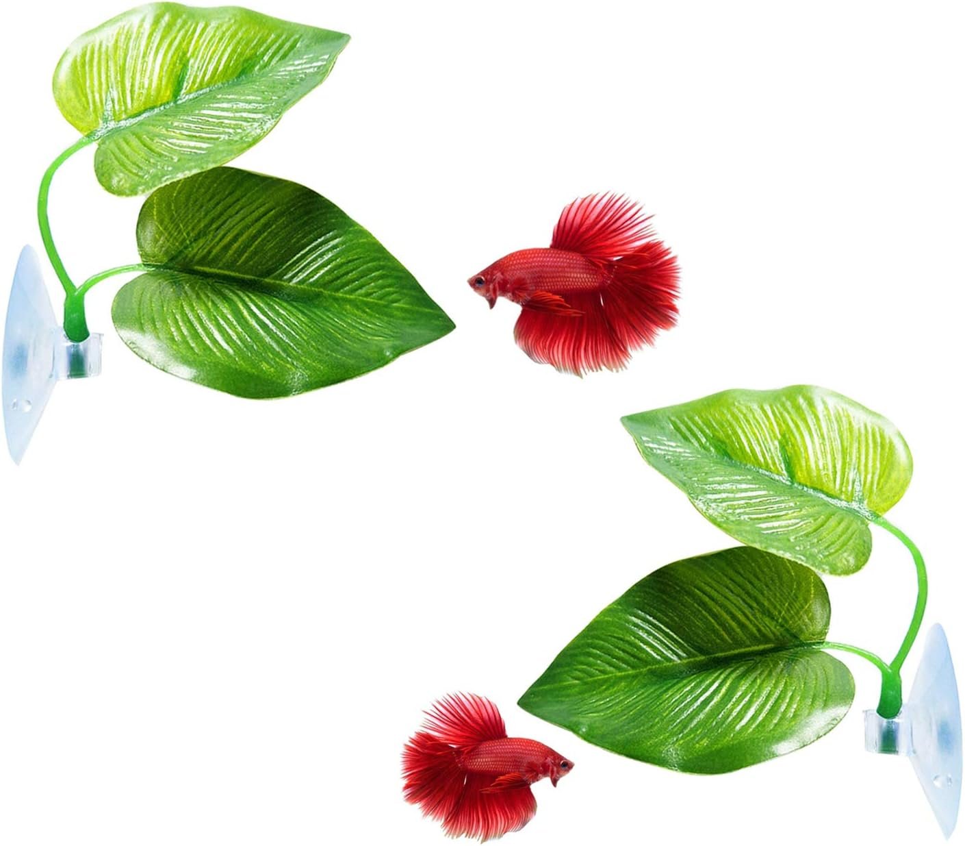 CousDUoBe 2 Pack Betta Fish Leaf Pad Improves Betta’s Health by Simulating the Natural Habitat – Natural, Organic, Comfortable Rest Area for Fish Aquarium Ornaments
