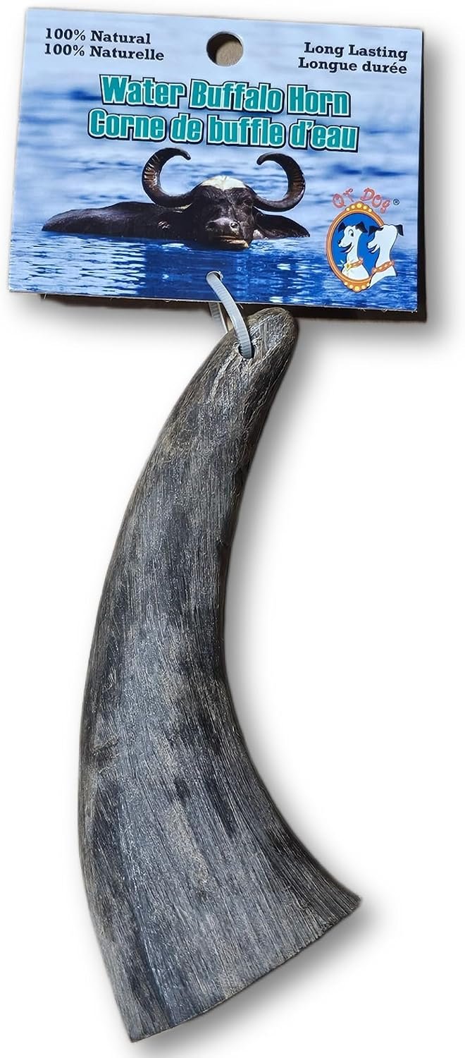 QT Dog Large Water Buffalo Horn – Long-Lasting 100% All-Natural Dog Chew, Ethically Sourced Protein-Packed & Low Fat Dental Chews, Ideal for All Breeds & Aggressive Chewers