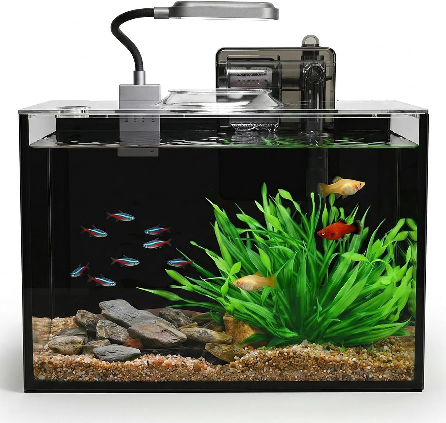 2.5 Gallon Nano Aquarium Kit, Glass Small Fish Tank Starter Kit with Light, Filter, Gravel Rock,Lid. Ultra Clear Rimless Desktop Fish Tank for Small Fish,Betta,Shrimp.Complete Version, Black