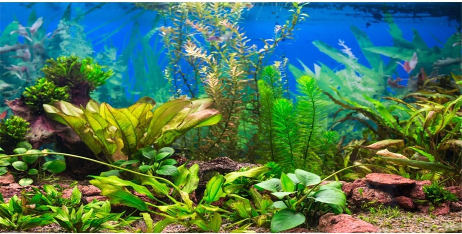 AWERT 48×24 inches Aquarium Background Aquatic Plant River Bed & Lake Fish Tank Background Vinyl