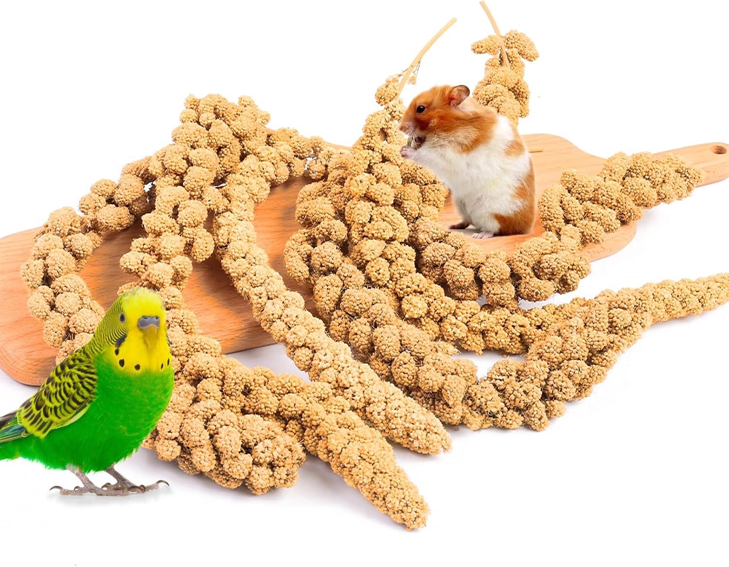 Fhiny Millet Spray for Birds, 1.1LB Natural Sun-Dried Millet for Birds Original Parakeet Food & Treats Spray for Parakeets Parrots Cockatiels Lovebirds Finches Budgies Hamsters