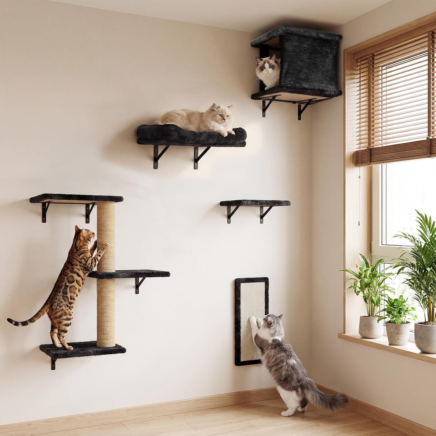 5-in-1 Cat Wall Shelves for Large Cats, Floating Climber with Scratcher | Wall-mounted cat activity center with condo, steps and scratch features. Saves space while keeping cats active indoors