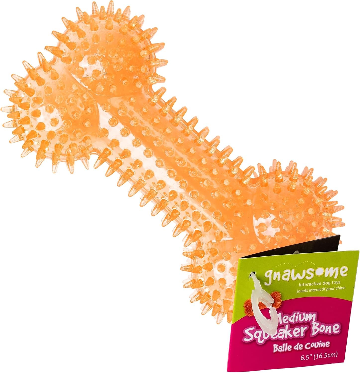 Gnawsome Dog Toys – 6.5” Spiky Squeaker Bone – Medium – Dental & Gum Wellness – Stimulating Fun – Hidden Squeaker – Durable for Heavy Chewers – 100% BPA-Free – Assorted Colors
