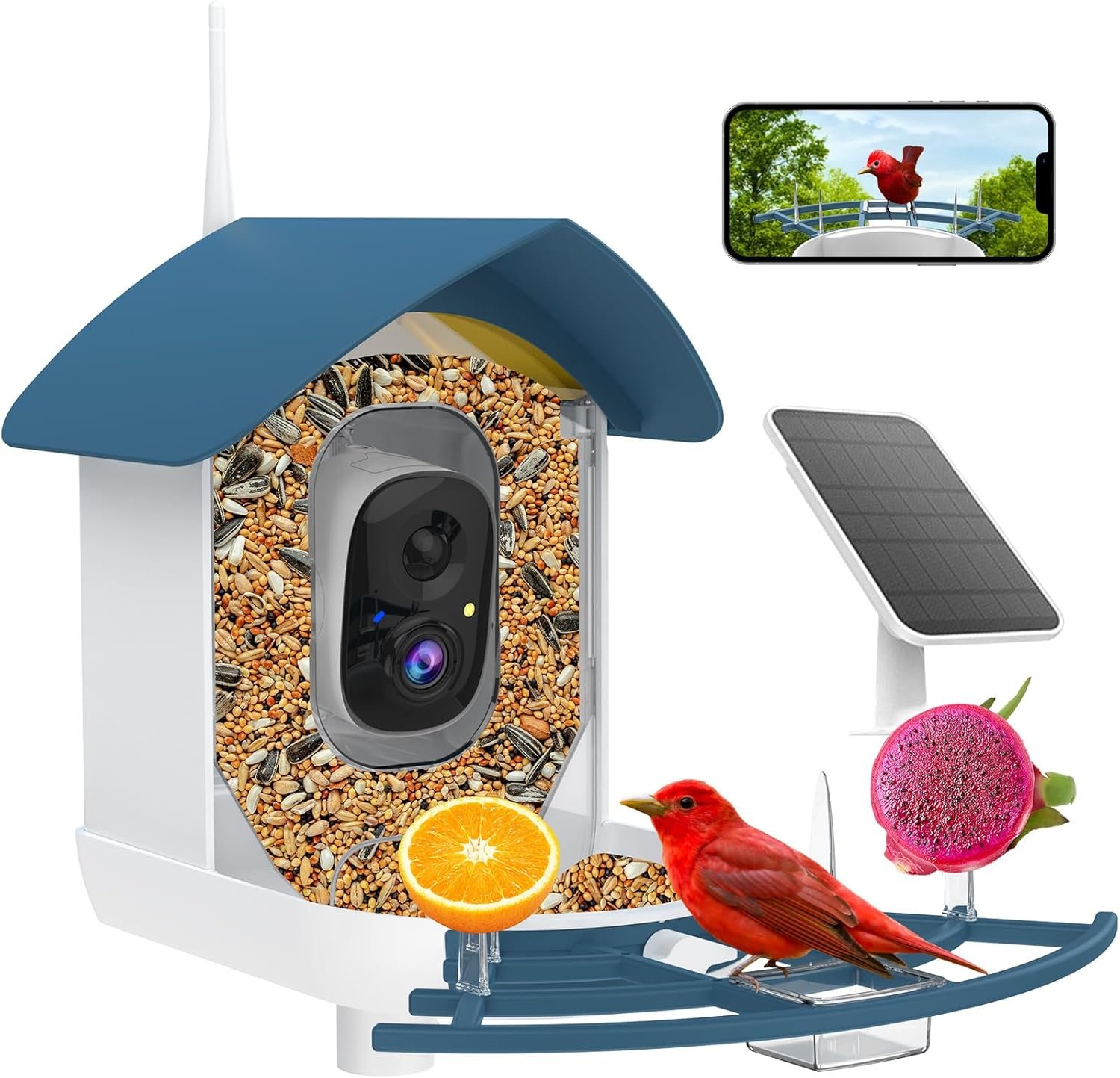 Bird Feeder with Camera,Birds House Camera,Solar Powered,AI Bird ID | Auto records FHD videos of birds in your backyard,Instant Notifications, Ideal gift for family and bird lovers,Navy Blue