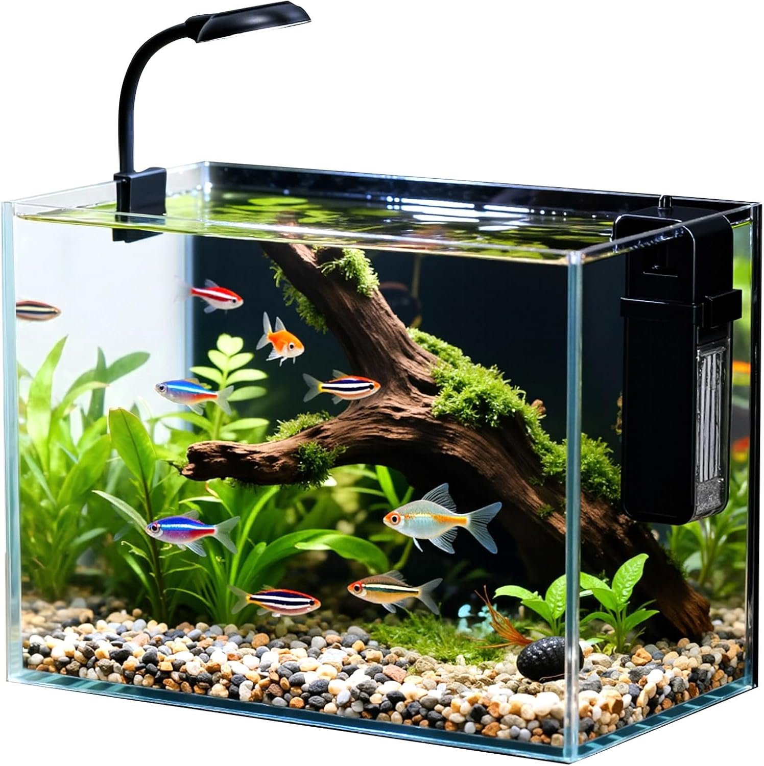 2.5 Gallon Small Fish Tank, Nano Aquarium with Ultra-Clear Glass, LED Light, Filter, Lid, Gravel and Rock, Desktop Beta Fish Aquarium Perfect for Shrimp, Snails or Live Plants