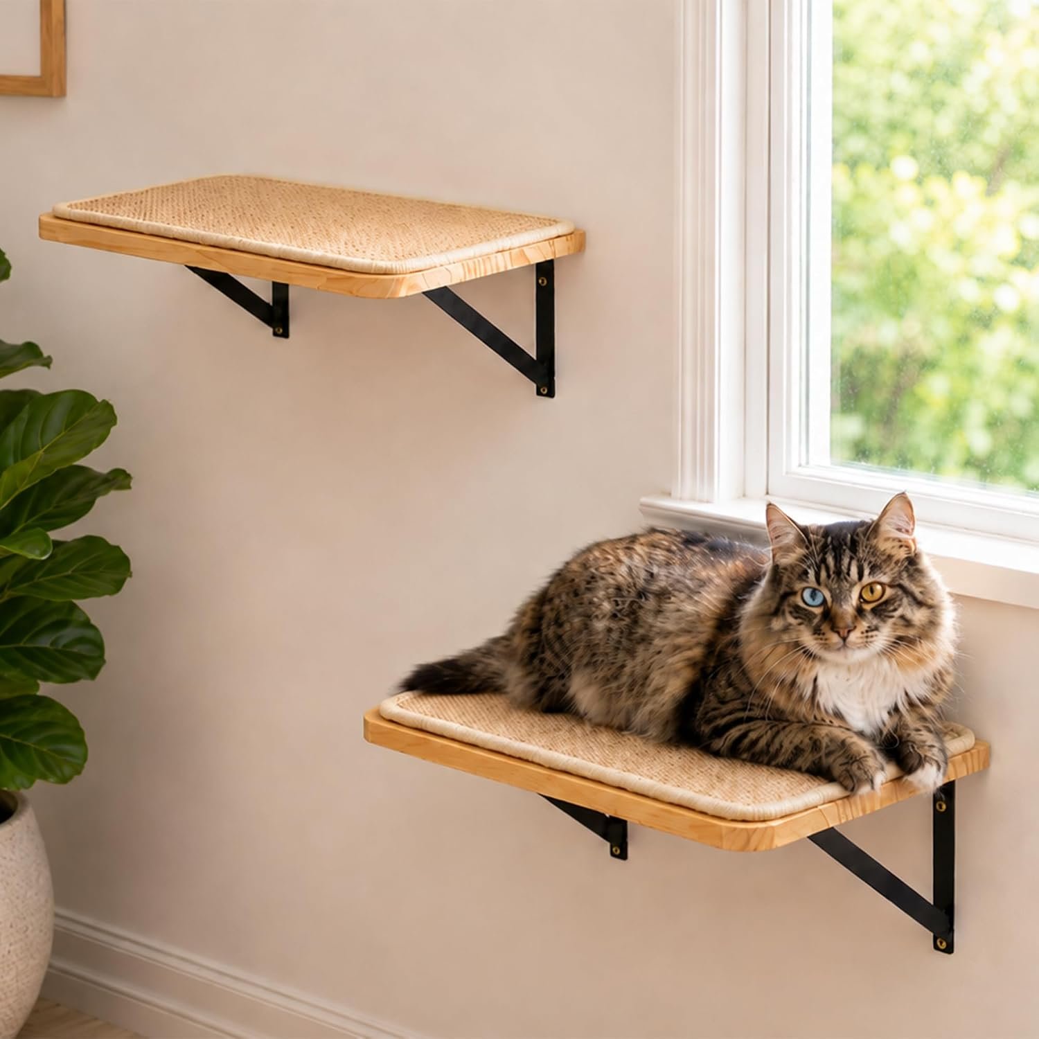 2PCS Cat Wall Shelves with Scratching Mat, 16.6×9.7 Inch Solid Pine Wood Wall Mounted Kitten Floating Shelf, Window Perch Hammock, Cats Wall Furniture for Cats Sleeping, Playing, Climbing